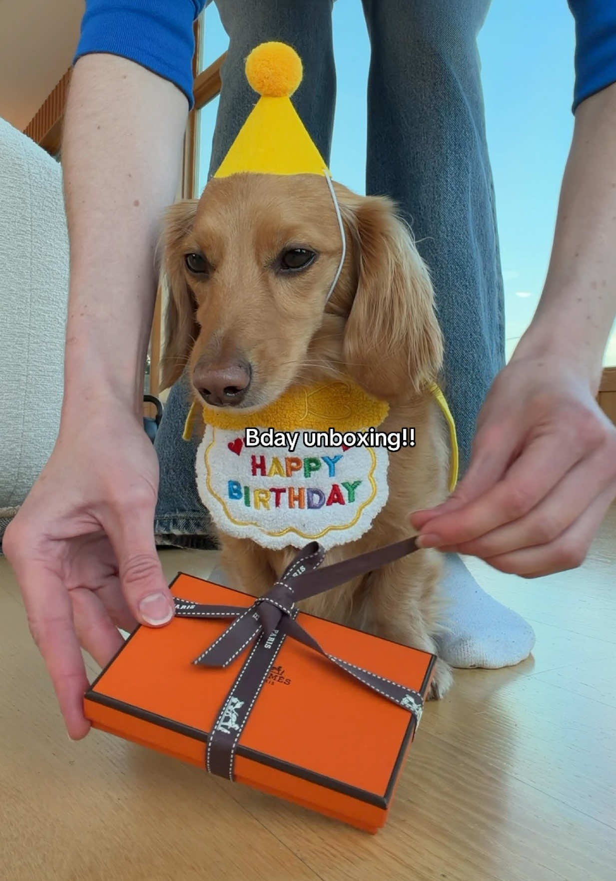 @cashewdachshund