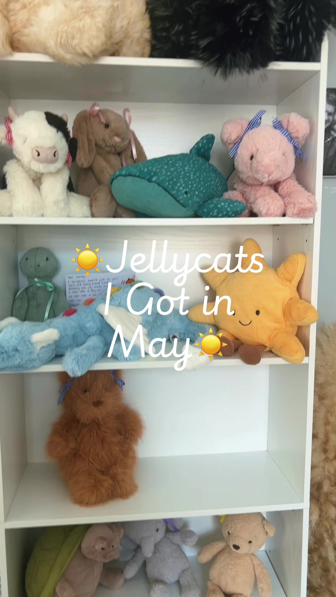@DarceysJellycats✨