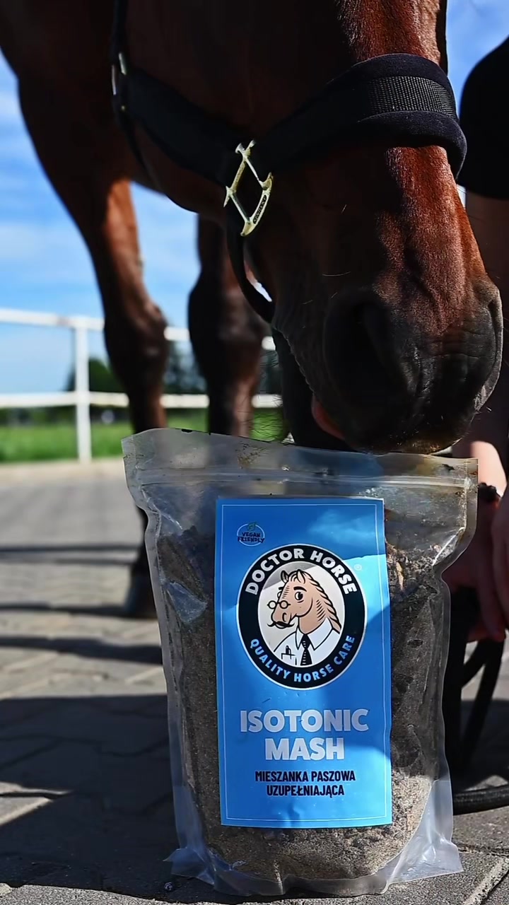 @Doctor Horse