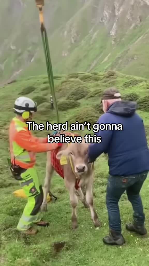 @TightMemes 👌