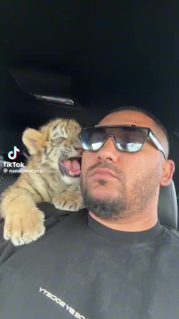 @Dani mocanu regele României