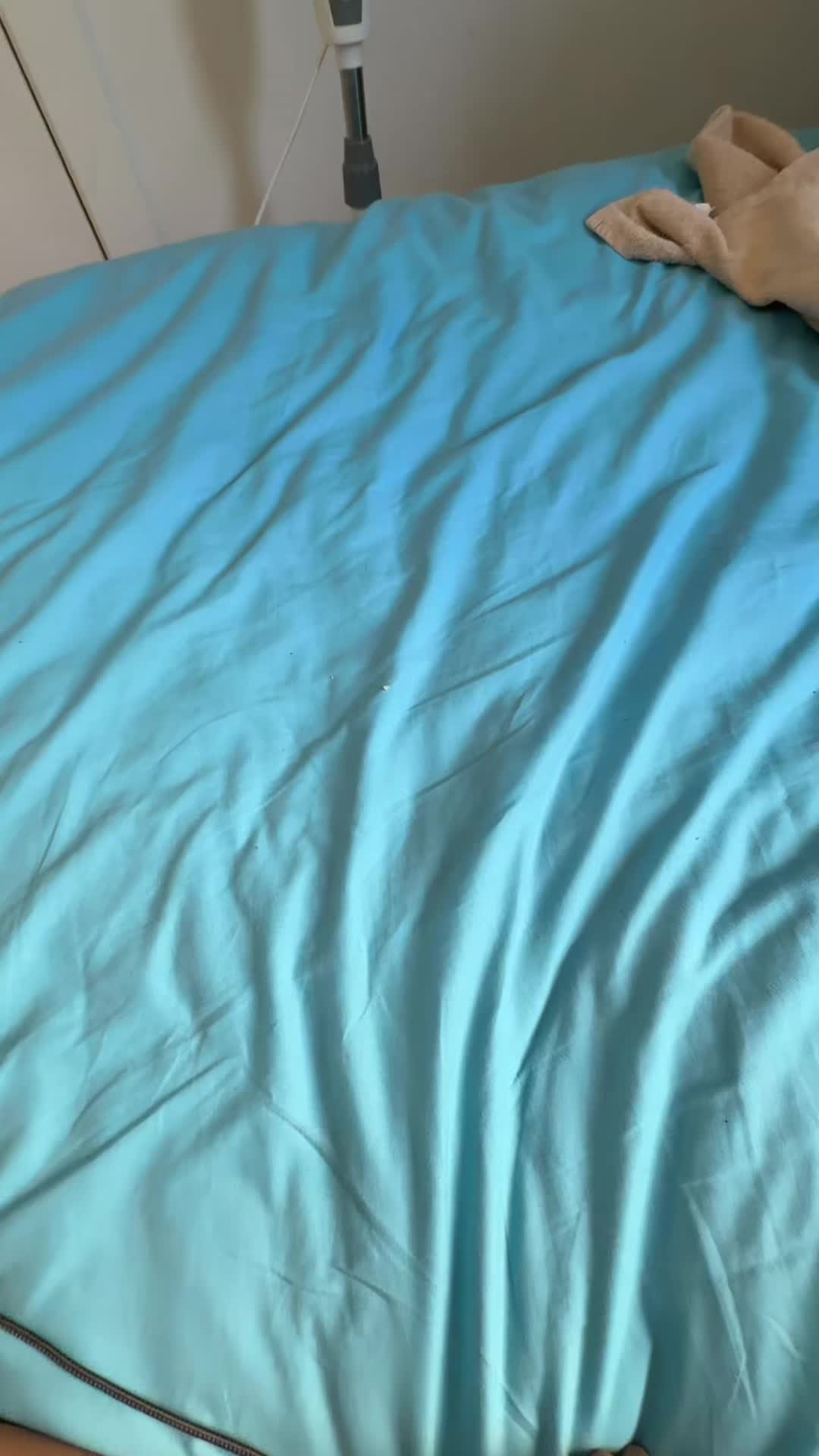 @laurentsears