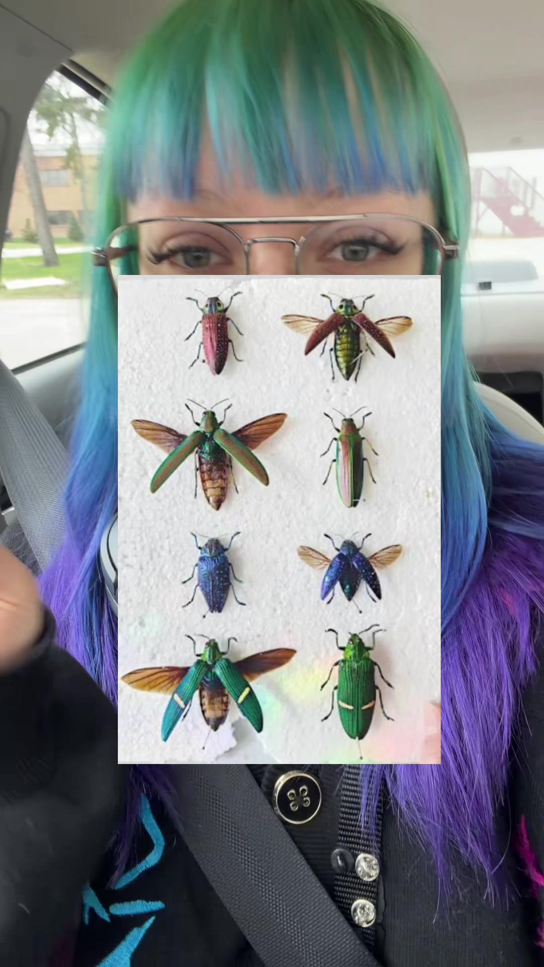 @Brandilyn