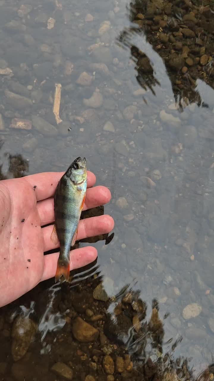 @RB.fishing