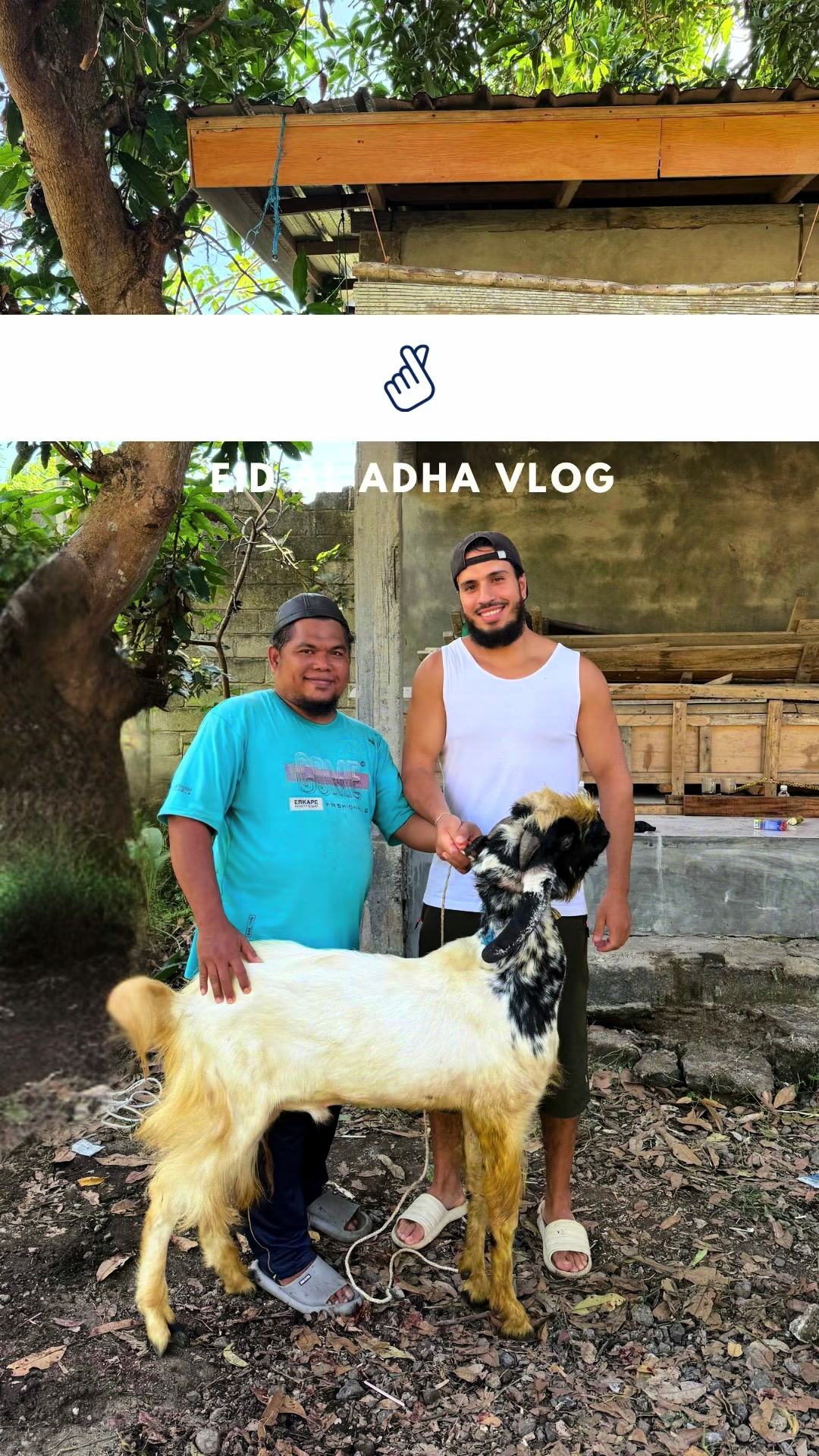 @E & A | halal travel guide