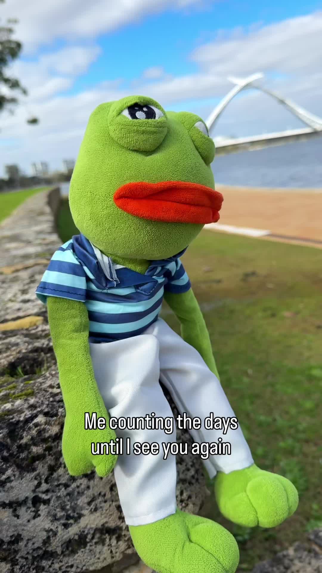 @AdoptAPepe