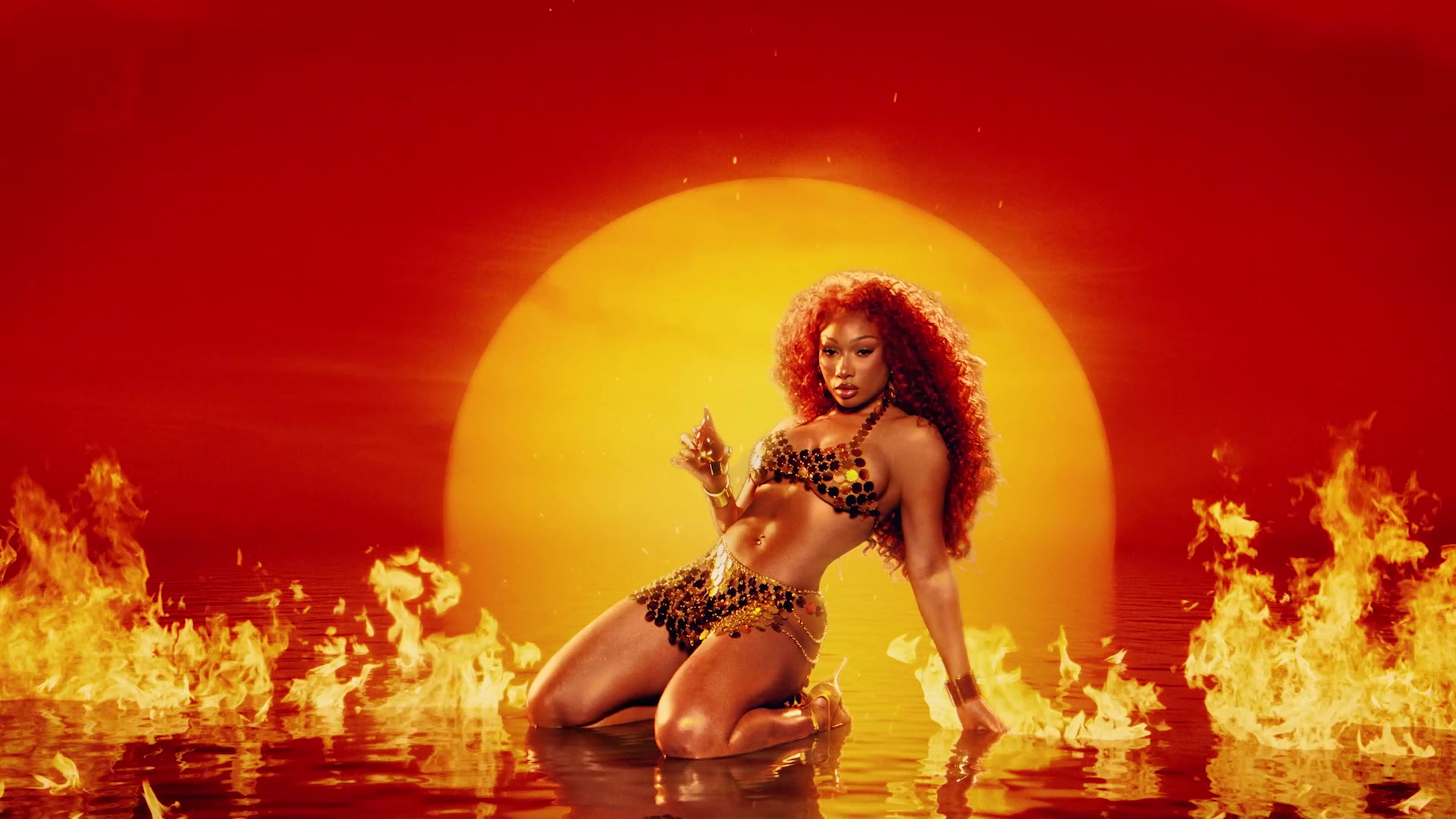 @Megan Thee Stallion