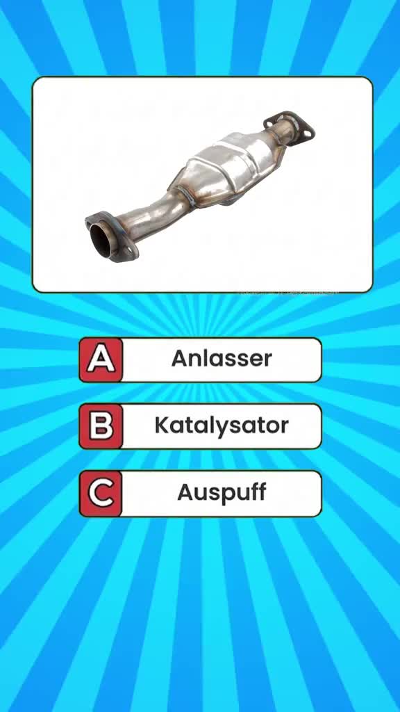 @DailyQuizMaster