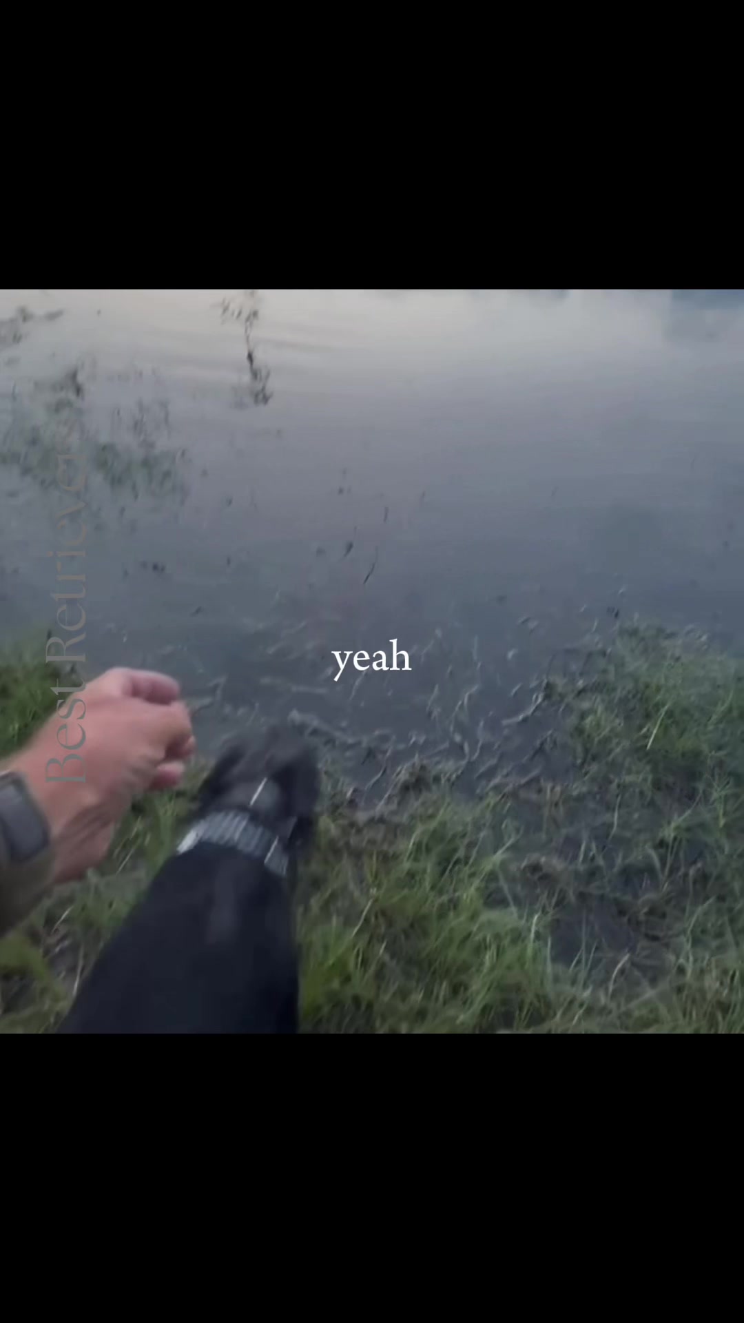@Best Retrievers