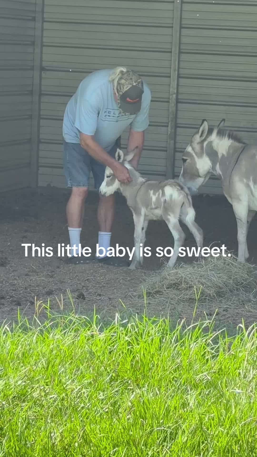@Kelley Farms