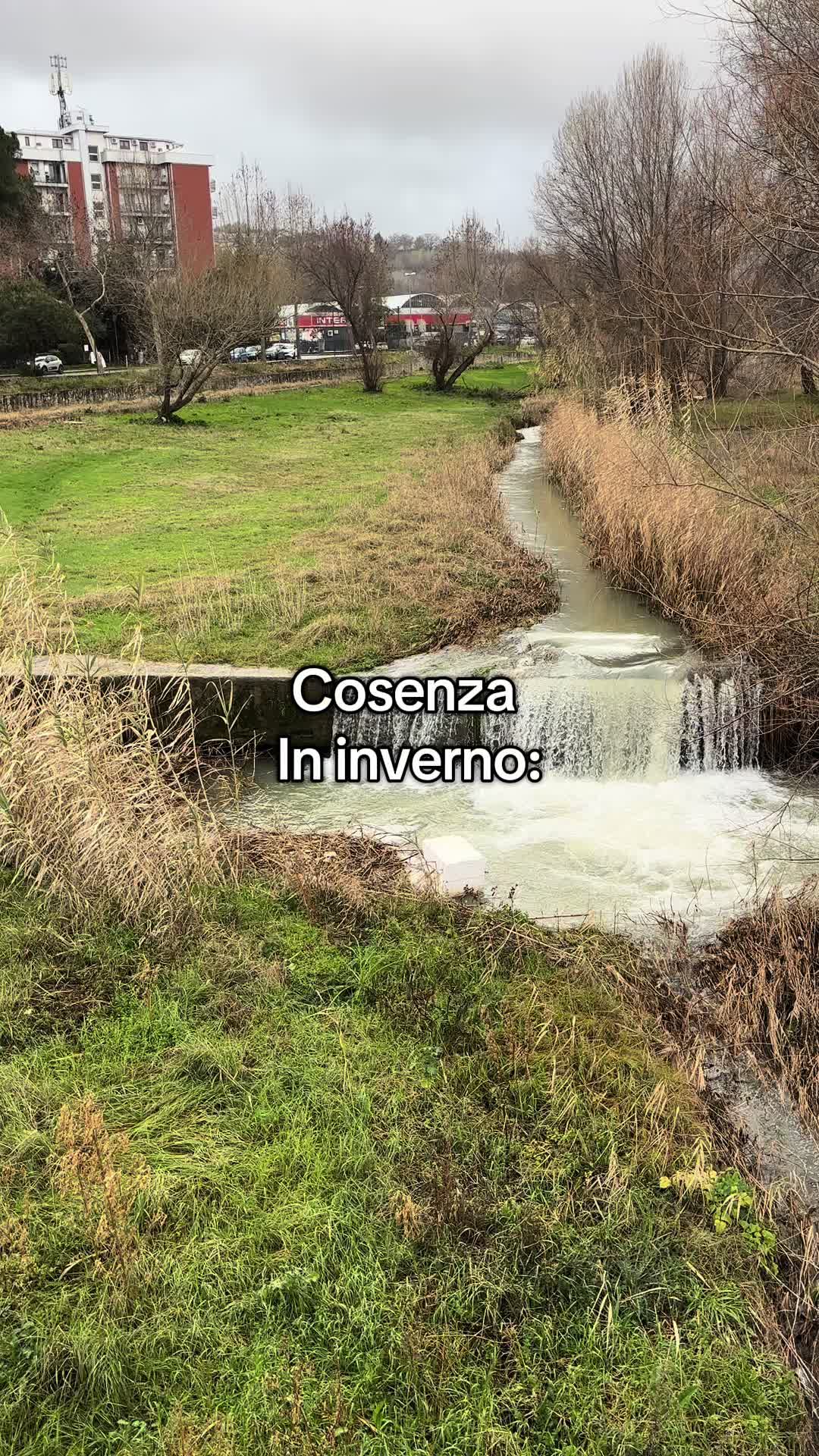 @CusenzaAccussì