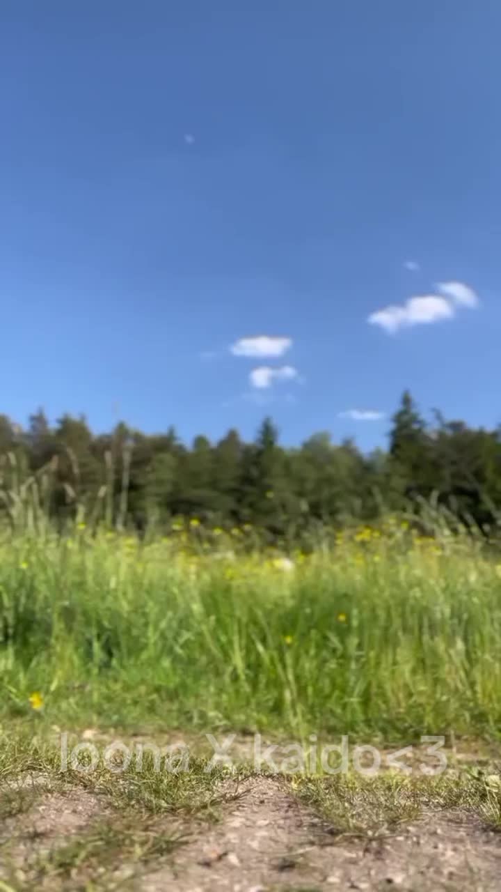 @ðâïžáª00áá©_áTâ
áááŒ4áEáâïžð