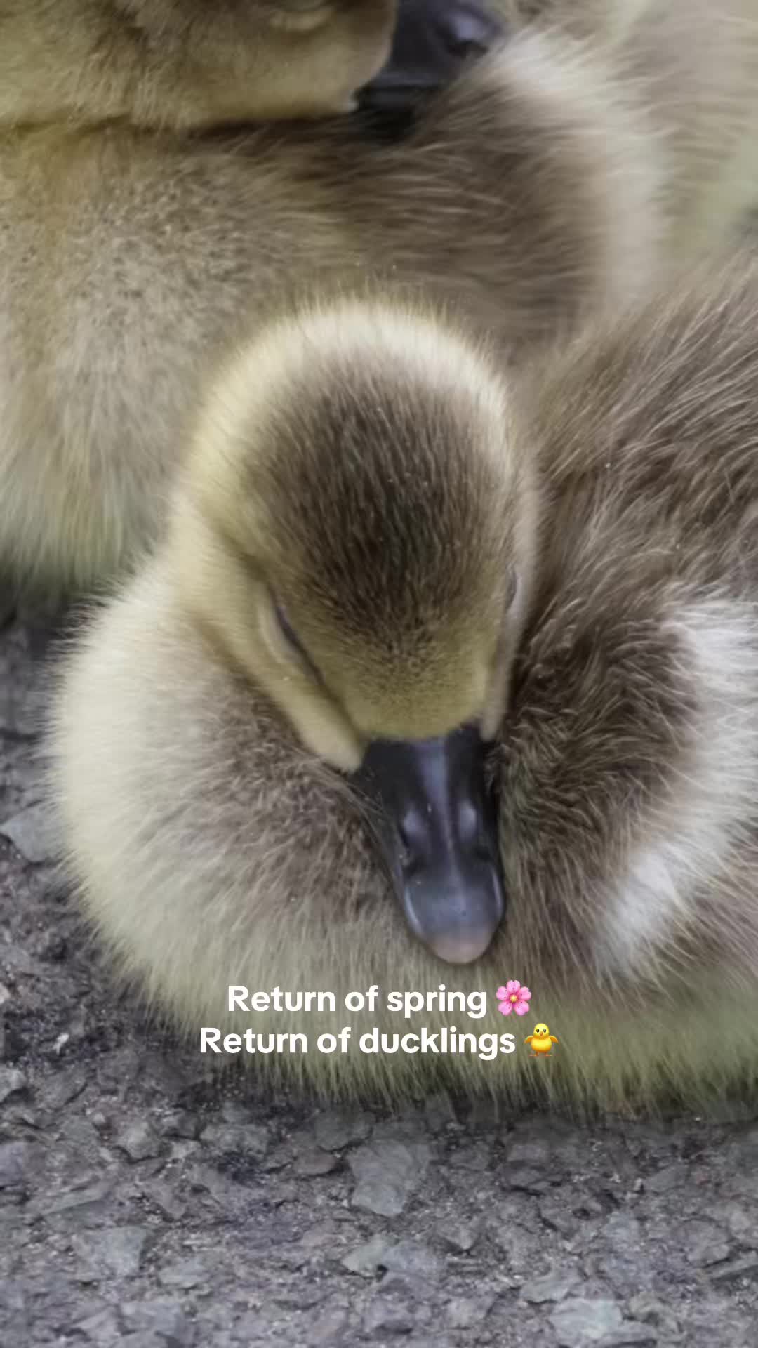 @Marie🌺