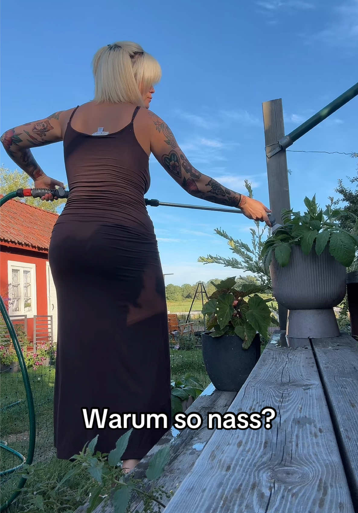 @anetafiggutneu