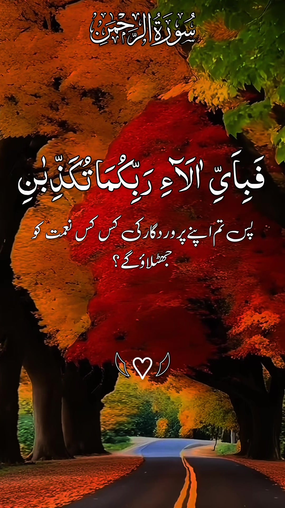 @❣️ Words of Allah ❣️