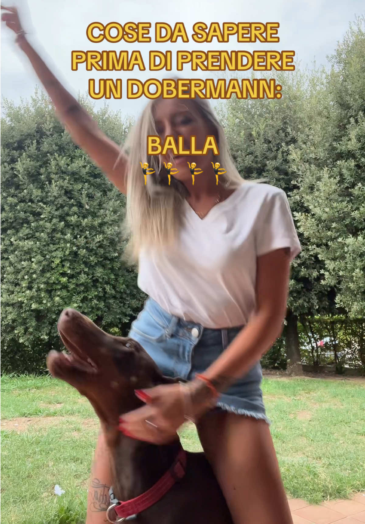 @Tina Bello