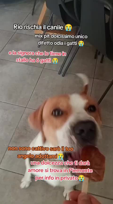 @KIRA❤️LEYLA💙