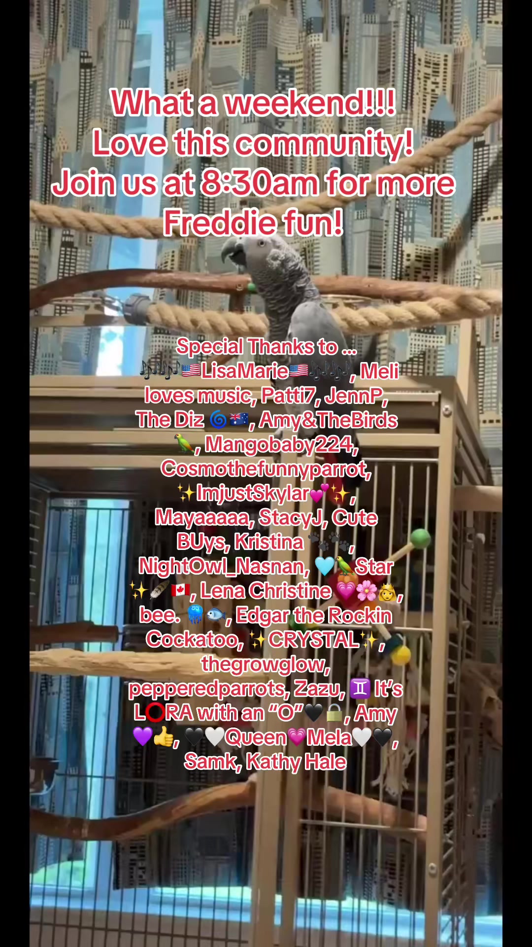 @thehinzoo