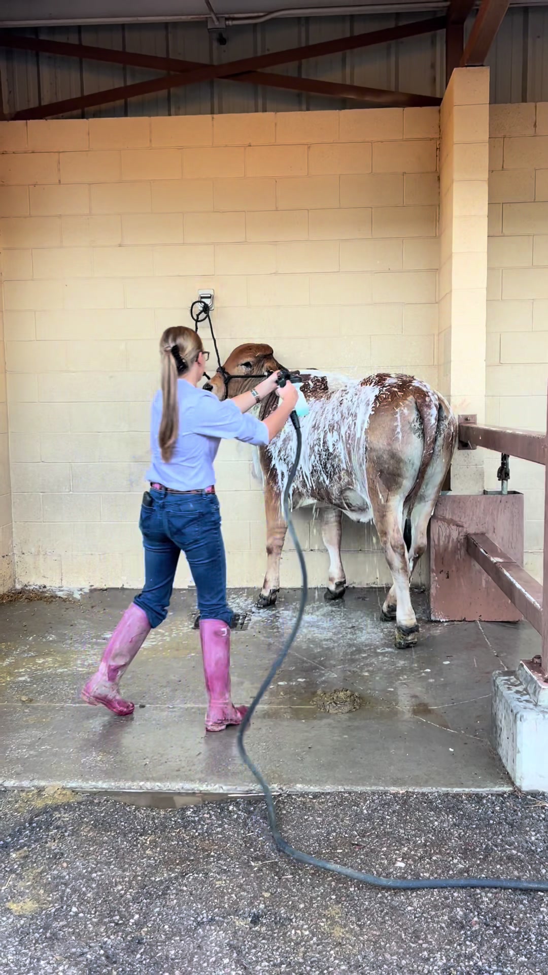 @The V6 Ranch