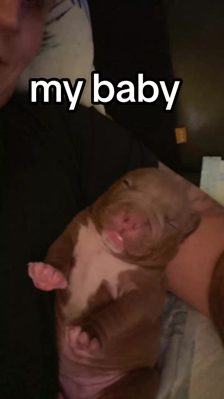 @drew
