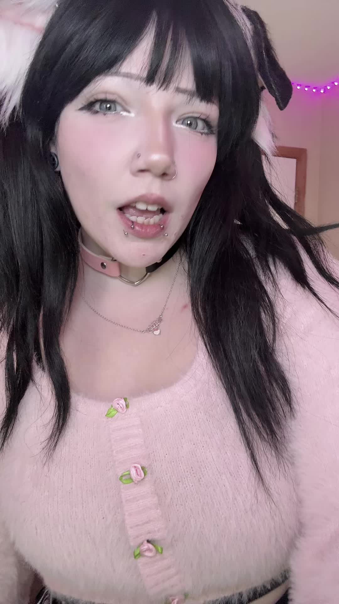 @kitty