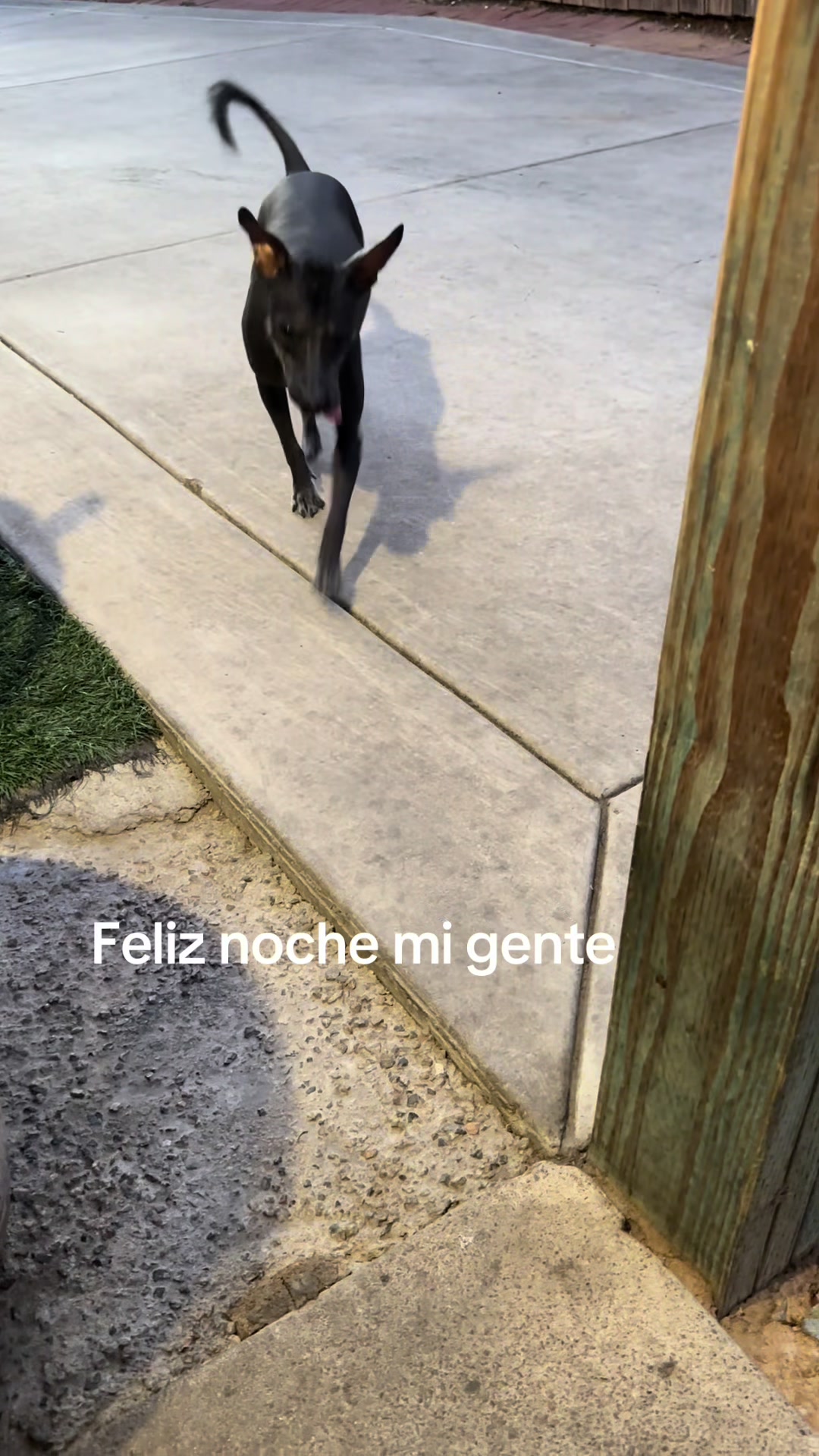 @Elcharitoopemex