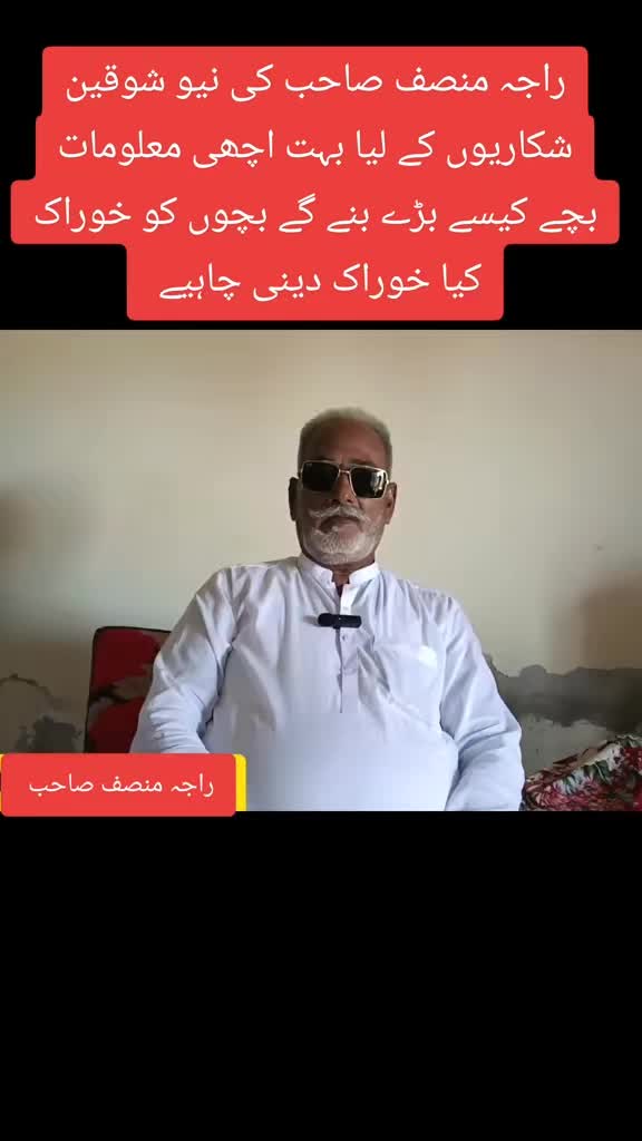 @bullishokeen2