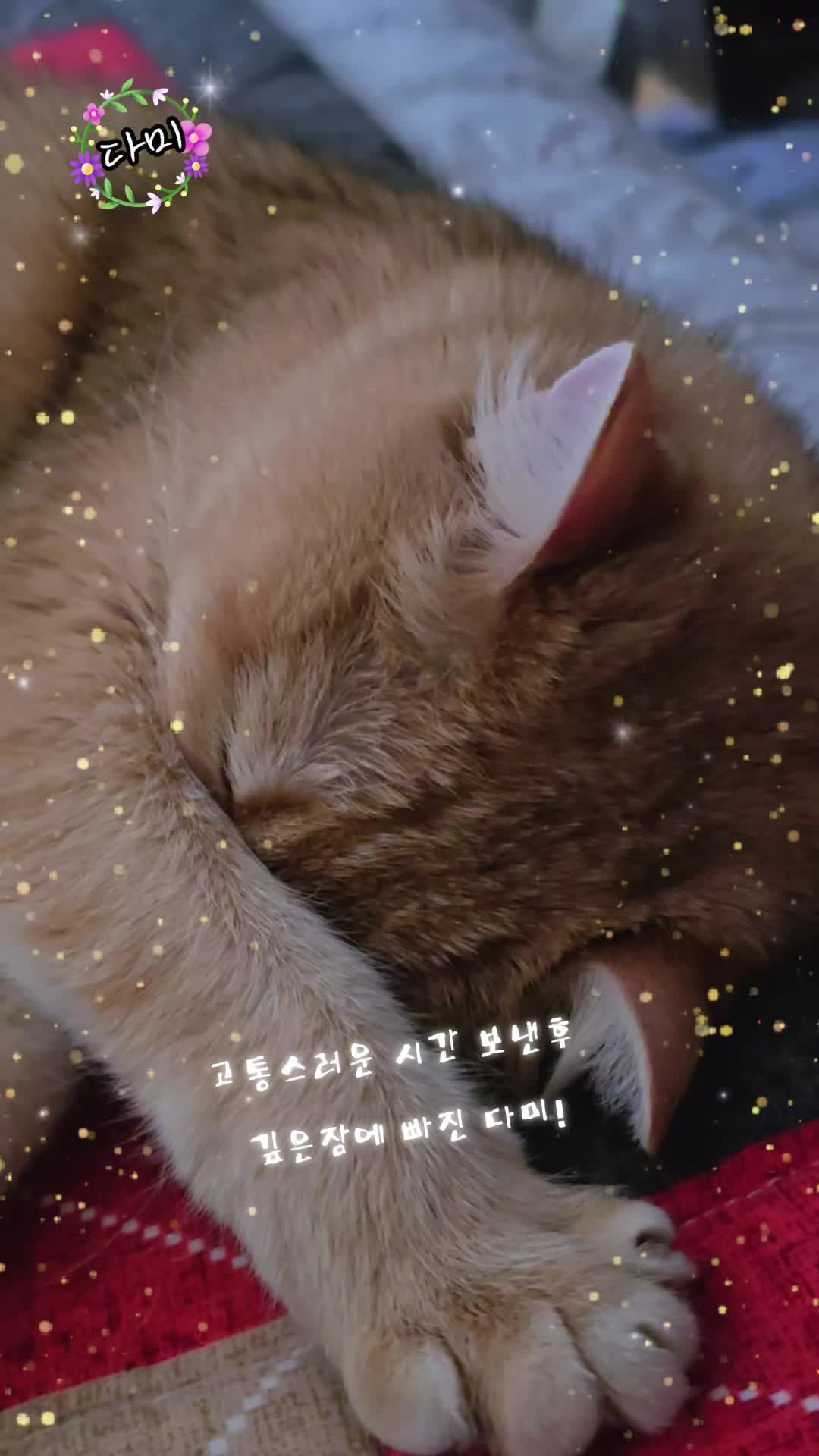 @올마인드