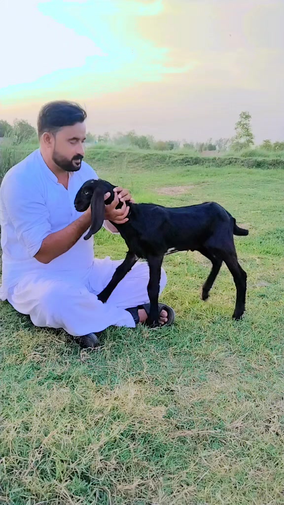 @Abrar hussain