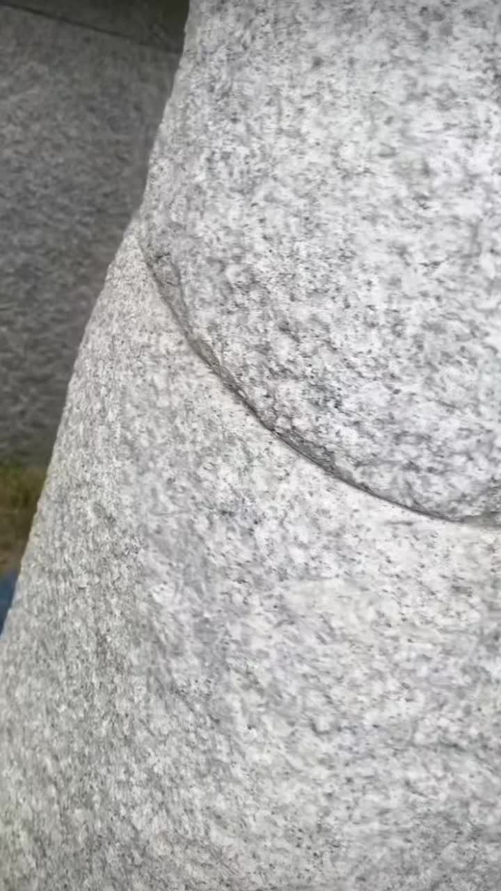@🌟🪽