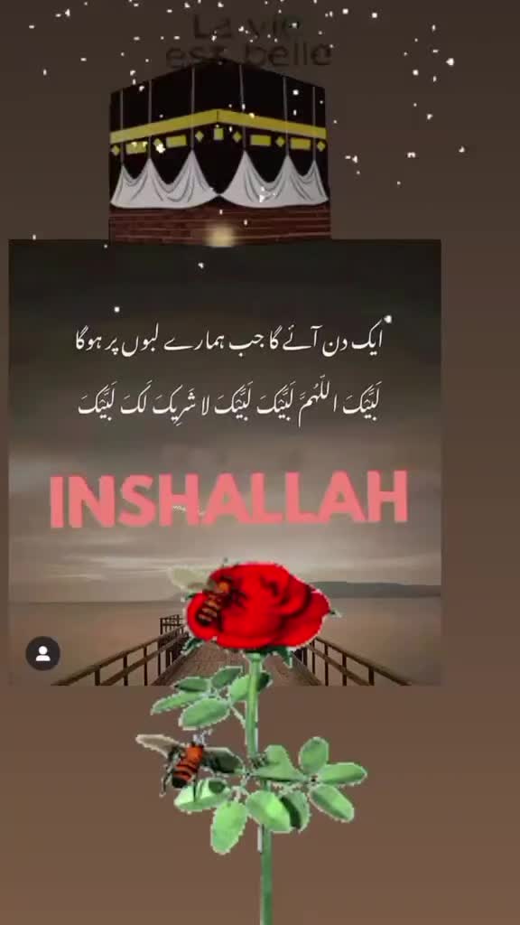 @ch imran shabbir official✅️