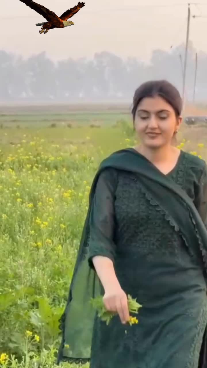 @Anjum.Rehman