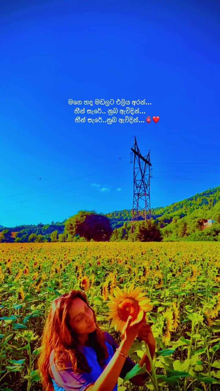 @‟ᥫ᭡•𝘿𝙖𝙣𝙪✨🇮🇹11.11🕊️
