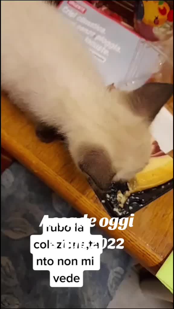 @Venerd&igrave;