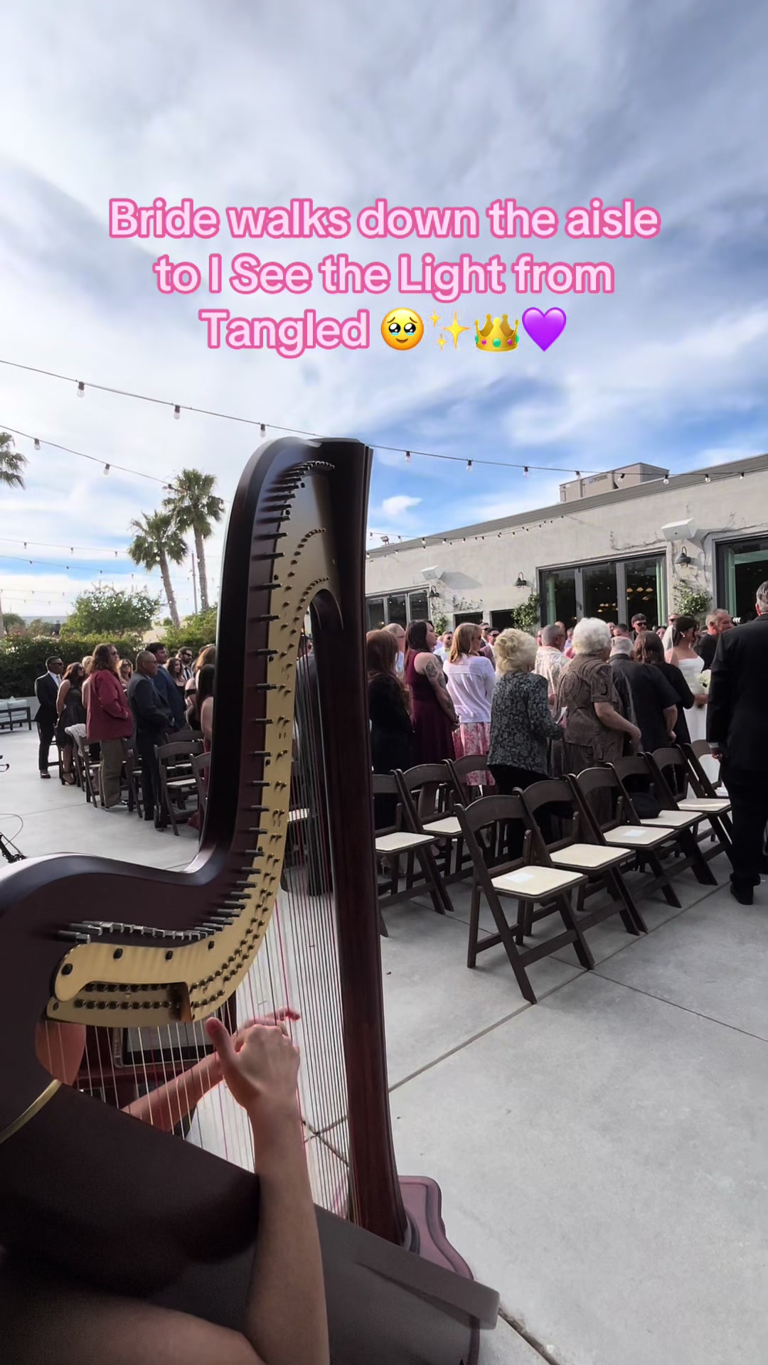 @betaniarodriguezharp