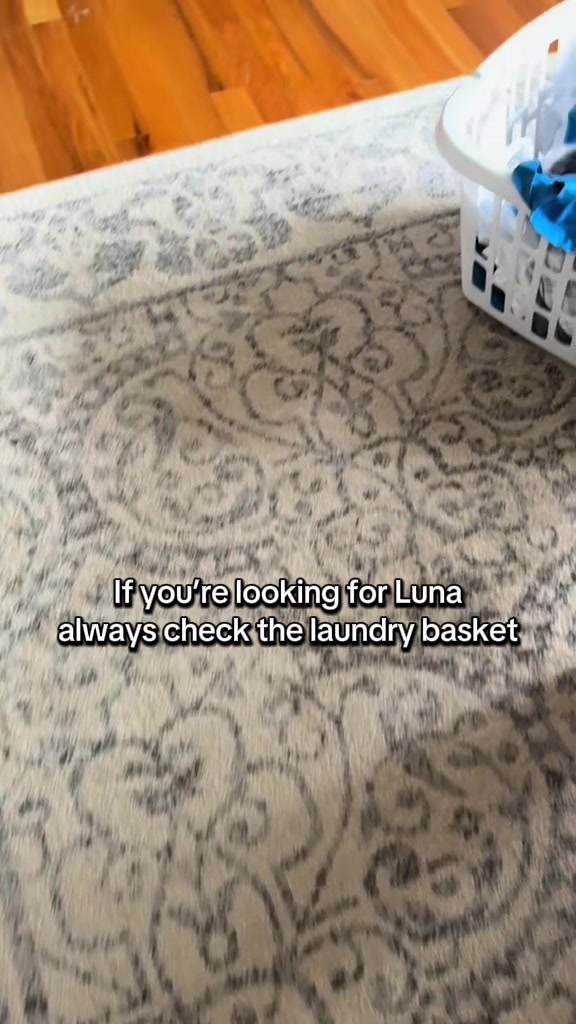 @LittleLuna.and.Lola