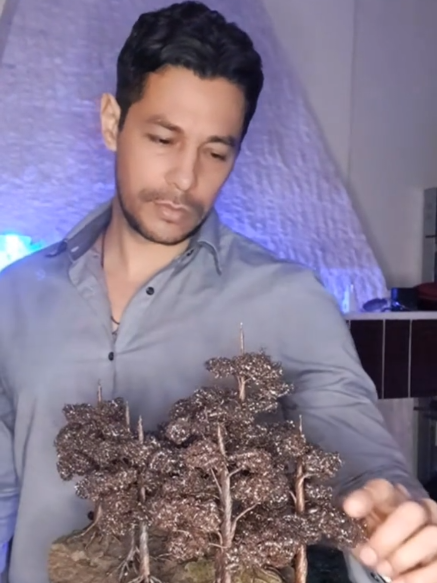 @TreeofLifeArtfan