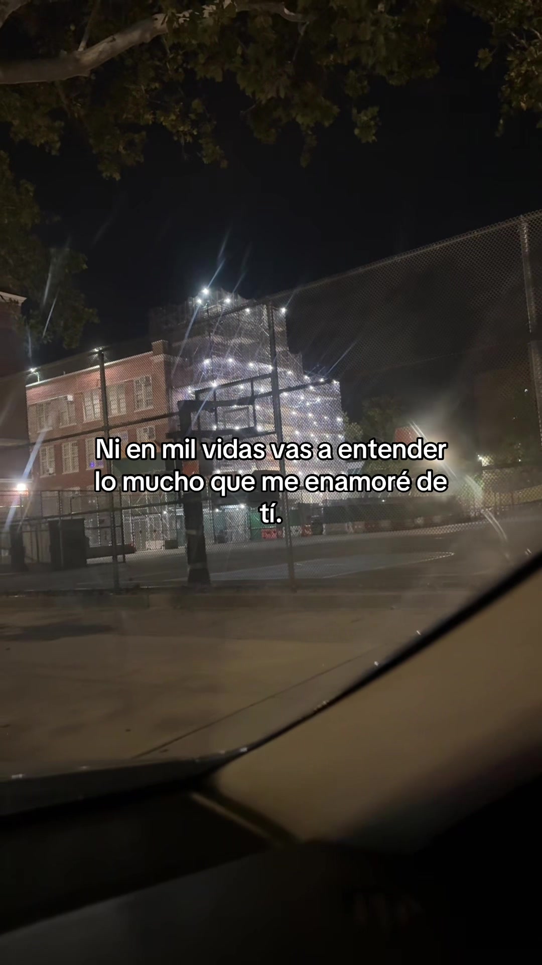 @Alex 💪🏻