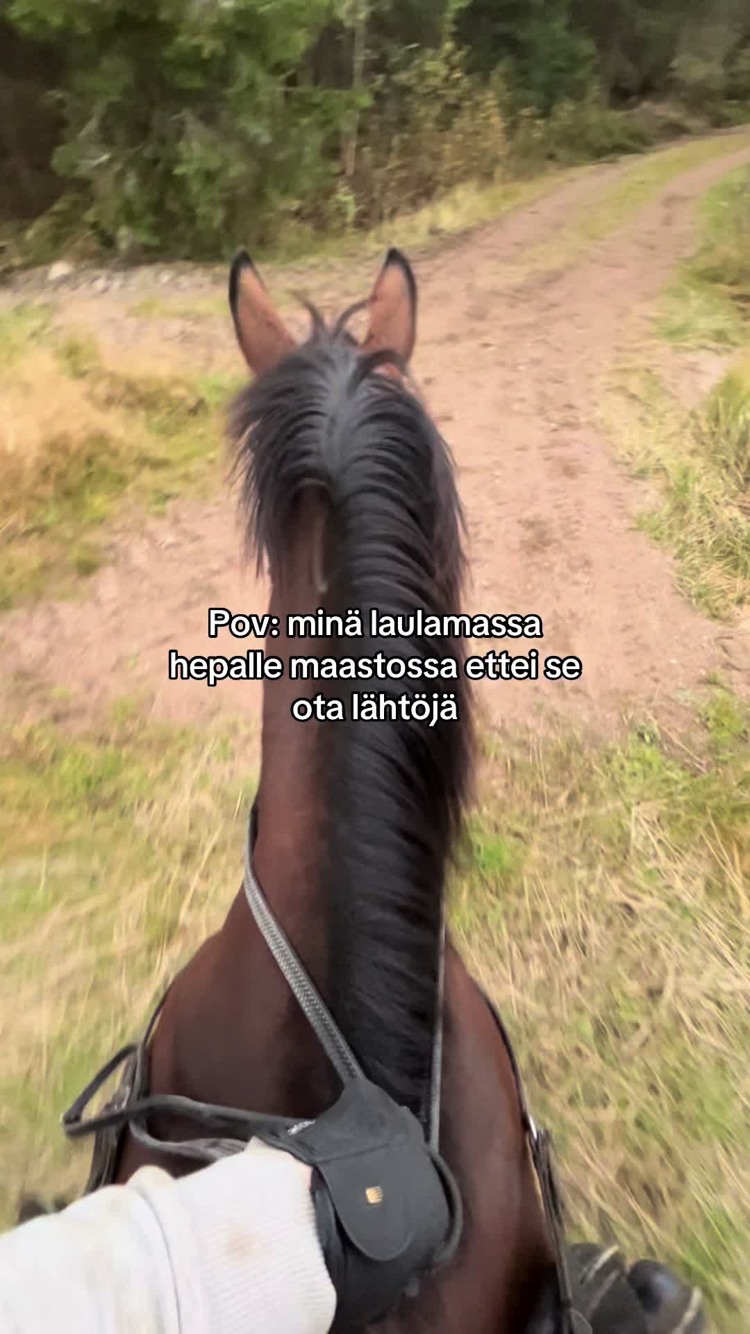 @Ponirannan talli🇫🇮🐎