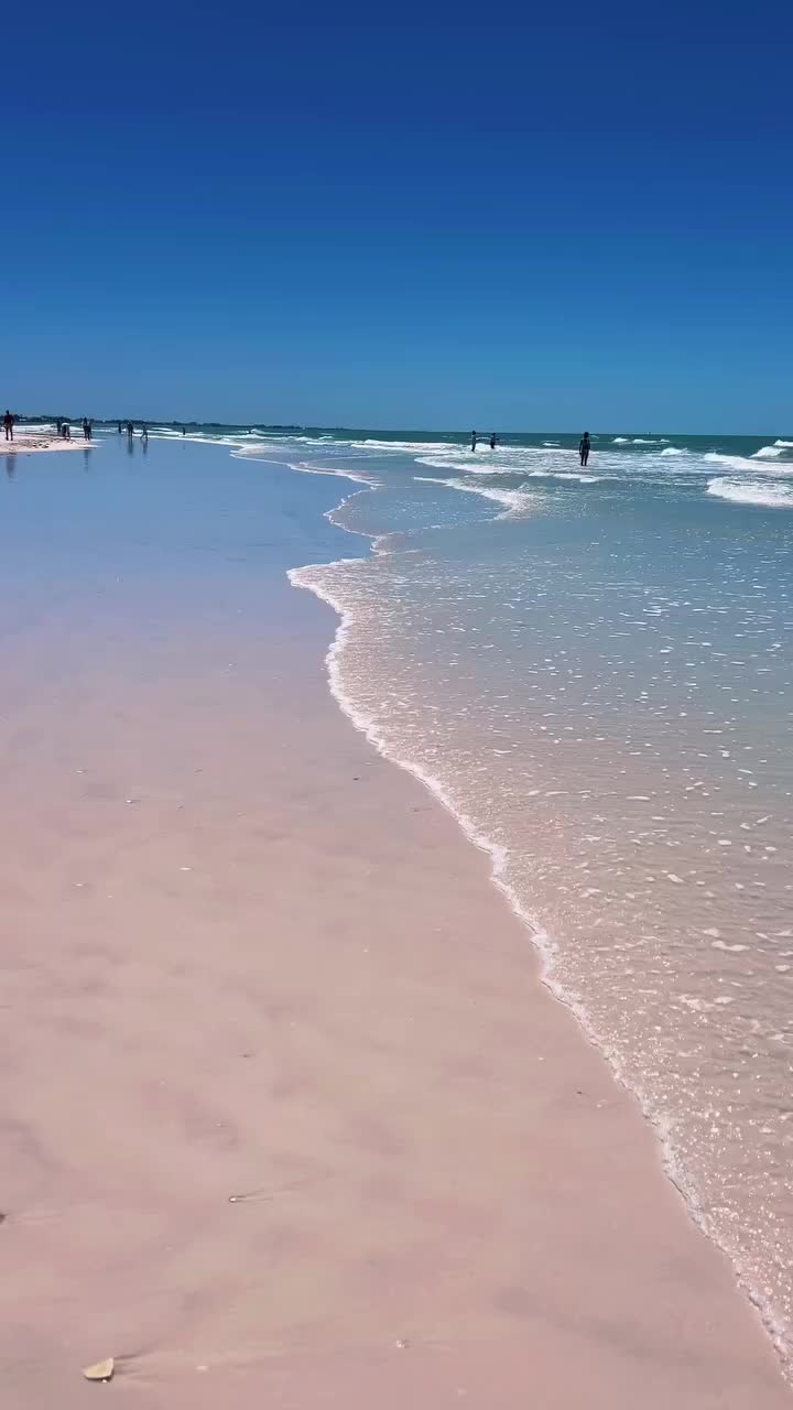 @thefloridaqueenie