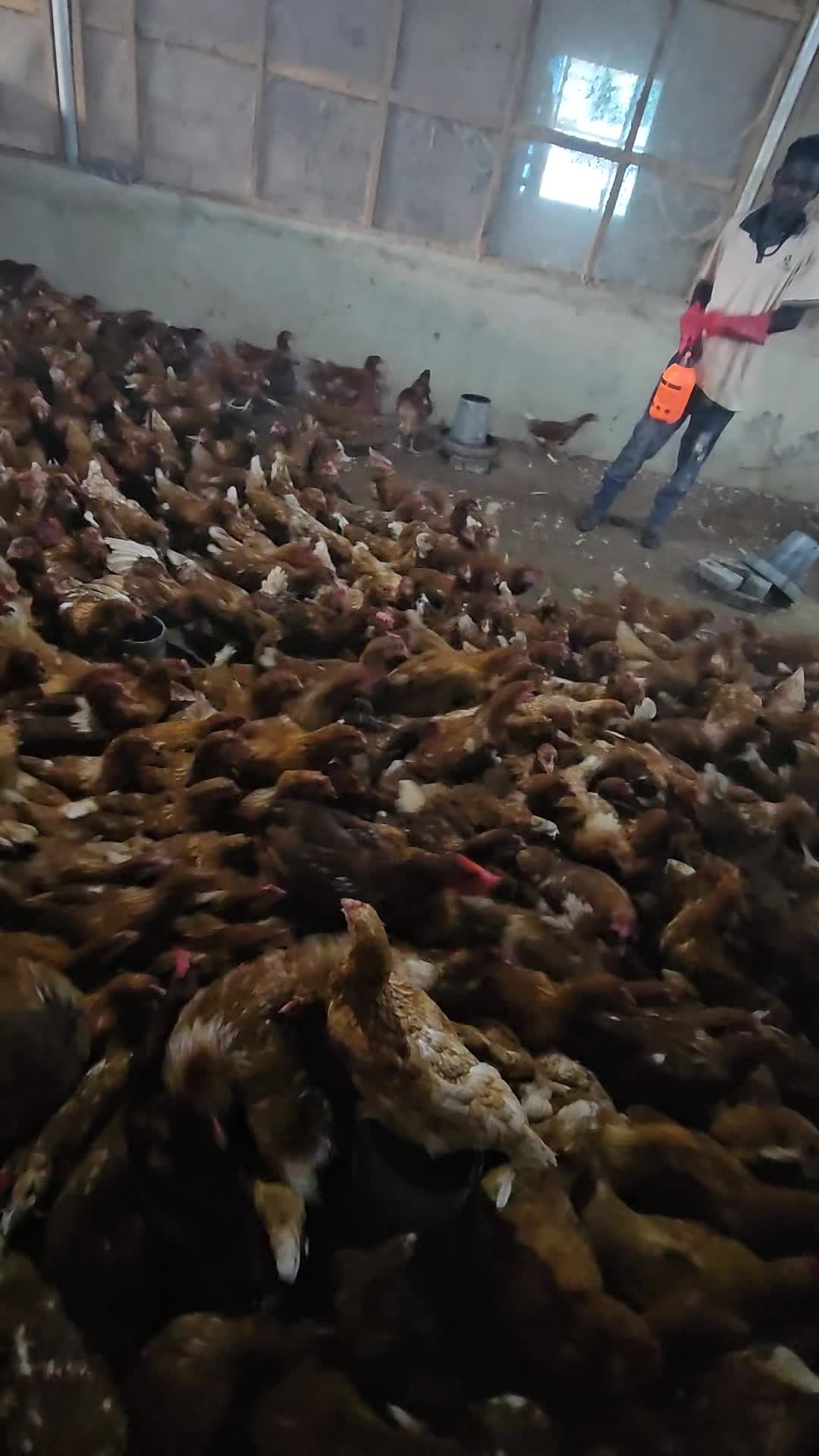 @thetri farms