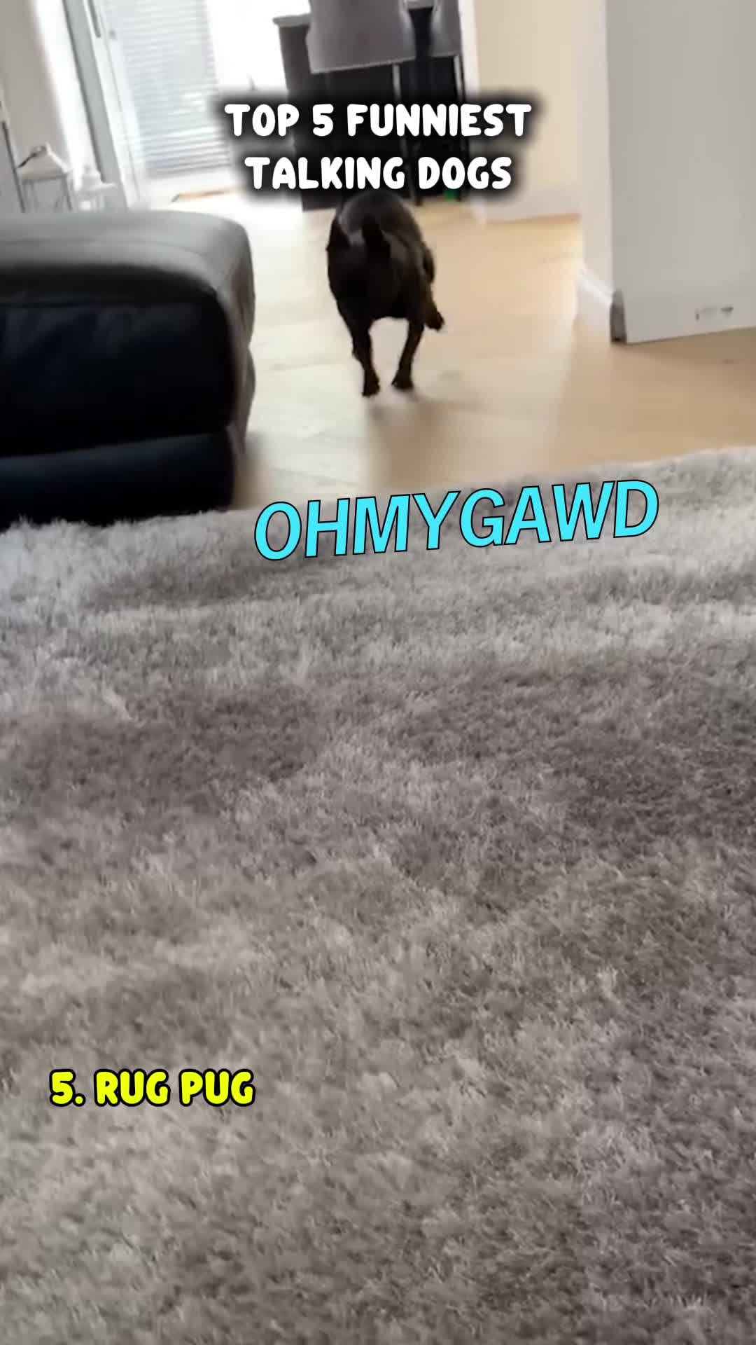@Rufus Goodboy