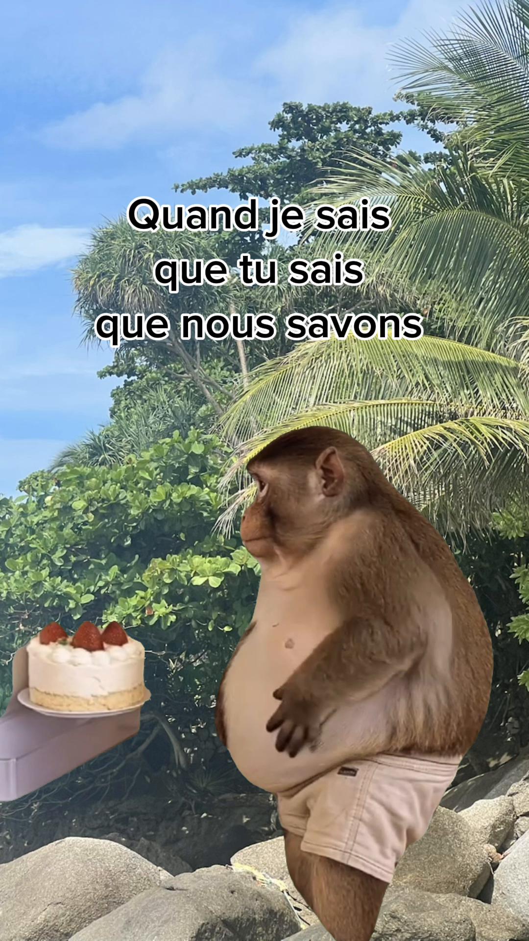 @Magou1981