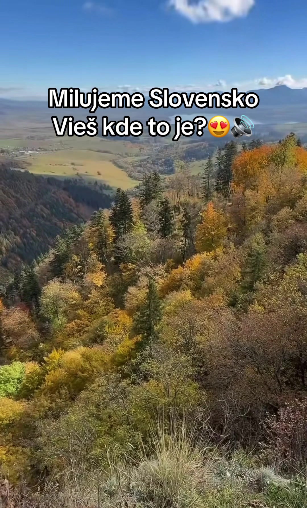 @sndwittch
