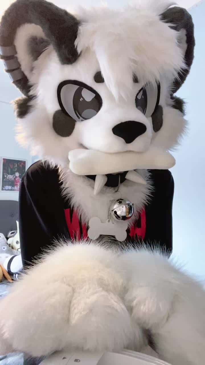 @🎬Lykoi🐾