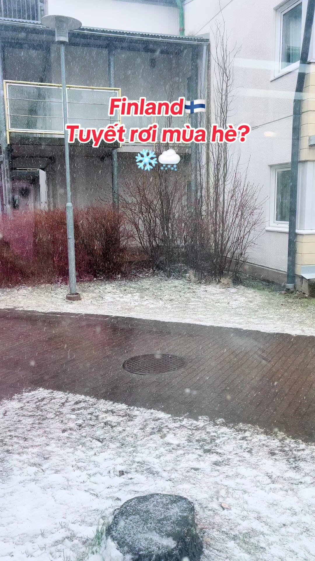 @LiLy Ở Phần Lan🇻🇳🇫🇮