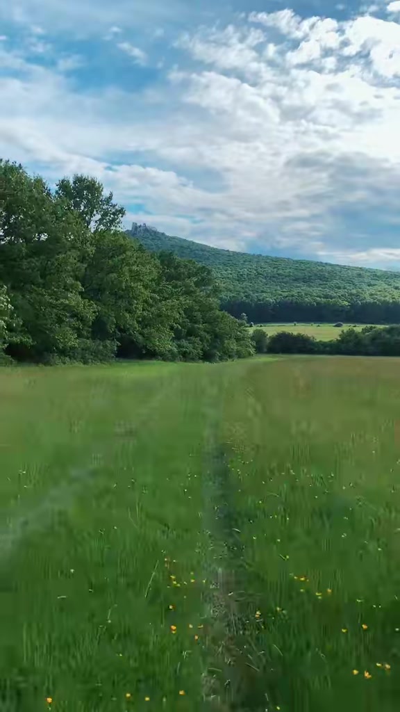 @Michal Botansky