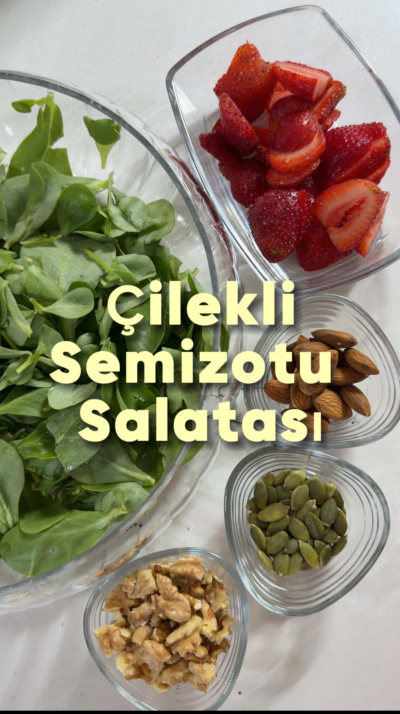 @Hande Üngörgil Molder