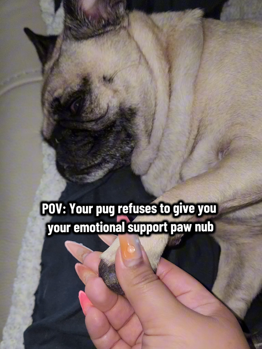 @Lulu
