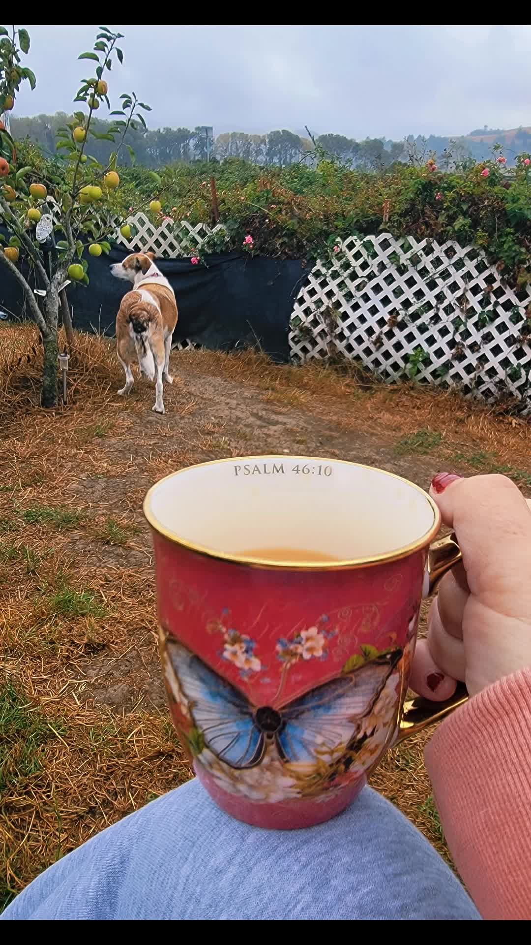 @Wendy 🐶 📚 🎧 ☕️🌲